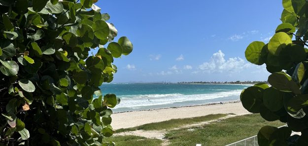 Mary sxm